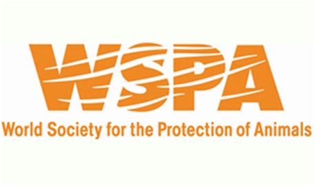 Advocating for Change: WSPA Launches Mascot Hunt for Animal Welfare.